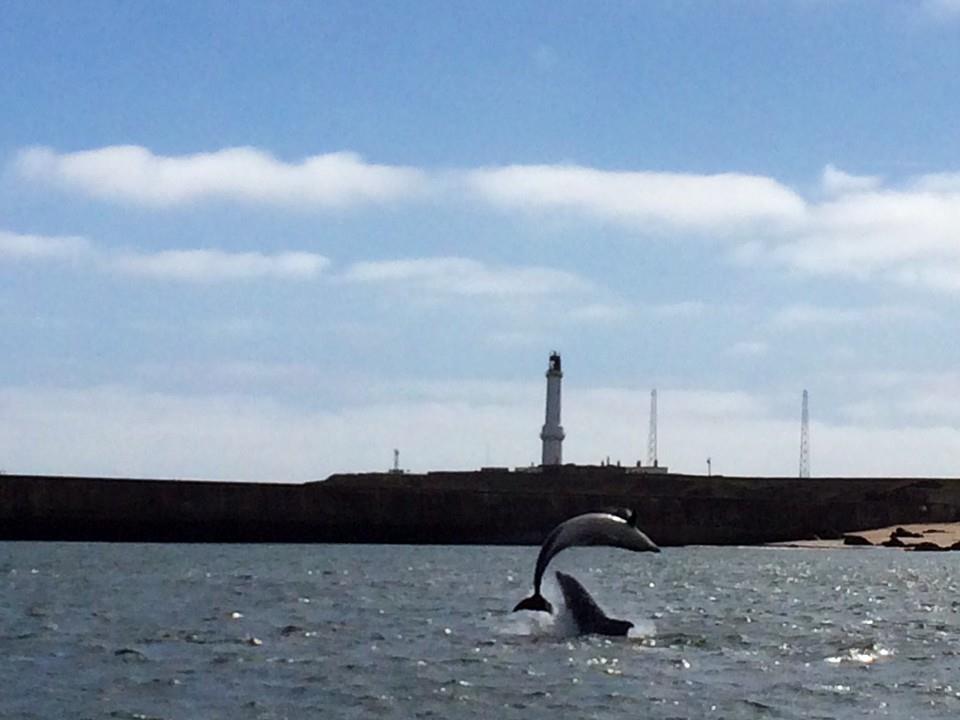 Aberdeen Lighthouse Cottages - Coastal, Dolphins Экстерьер фото